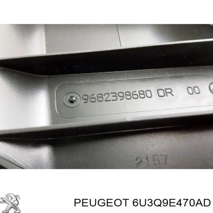 Купити 6U3Q9E470AD Peugeot/Citroen 