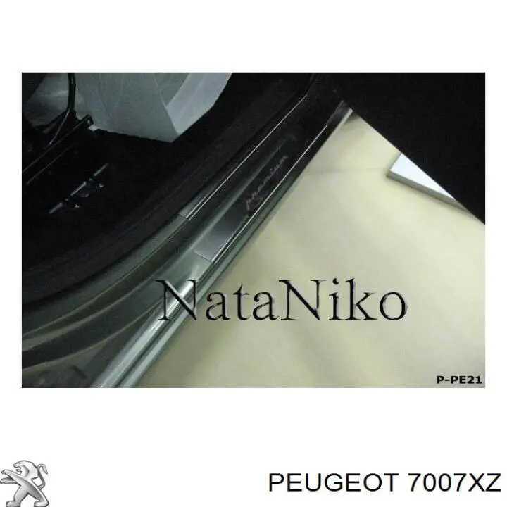 Поріг зовнішній лівий Peugeot/Citroen 7007XZ ціна, від 32.46 USD