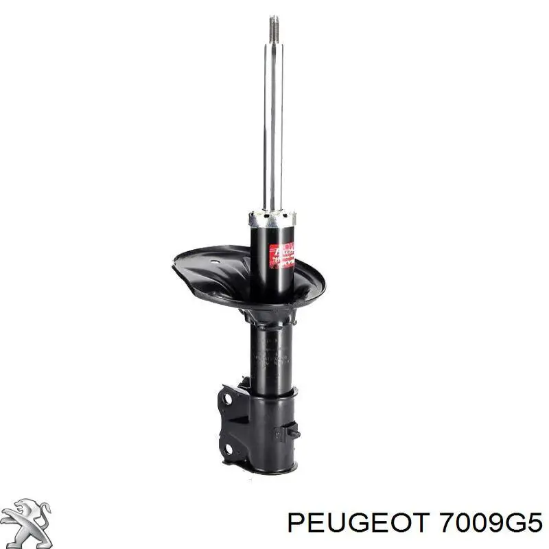 Купити 7009G5 Peugeot/Citroen Поріг зовнішній лівий