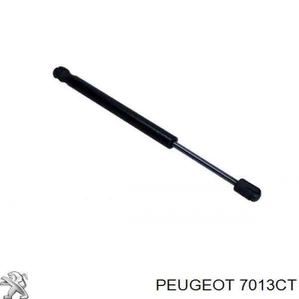 Захист двигуна 14825032 AND