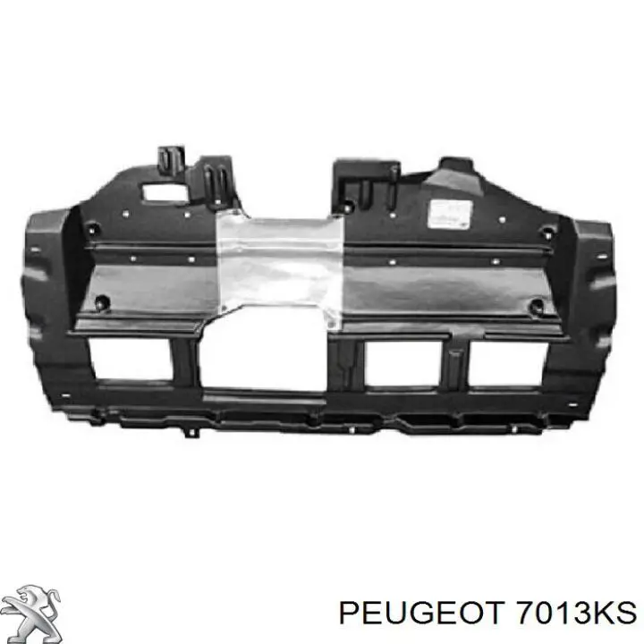 Захист двигуна, піддона (моторного відсіку) Peugeot 207 (WA, WC) (Пежо 207)