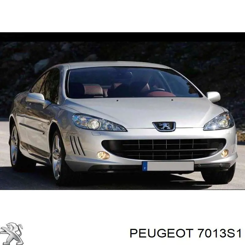  Захист двигуна Peugeot 407 
