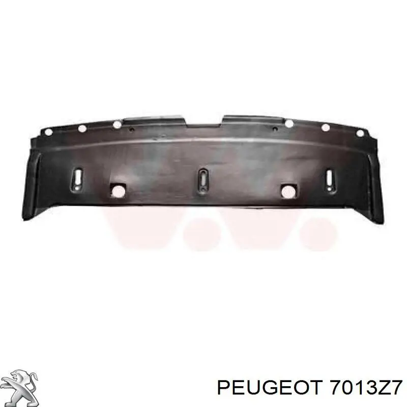 Фартух, дефлектор переднього бампера Peugeot/Citroen 7013Z7 ціна, від 22.88 USD