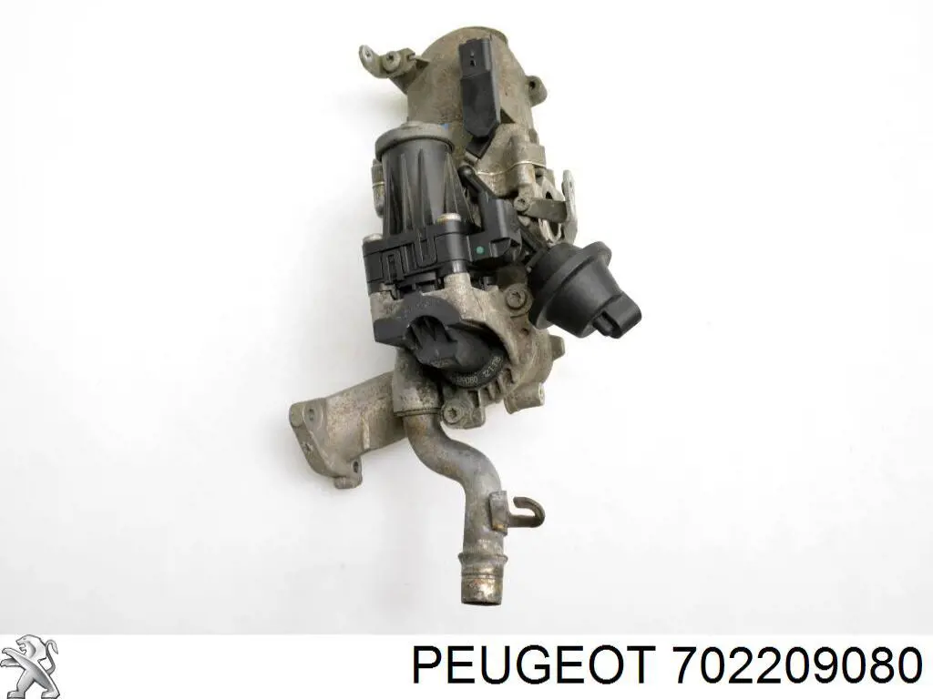 Клапан EGR, рециркуляції газів 702209080 Peugeot/Citroen