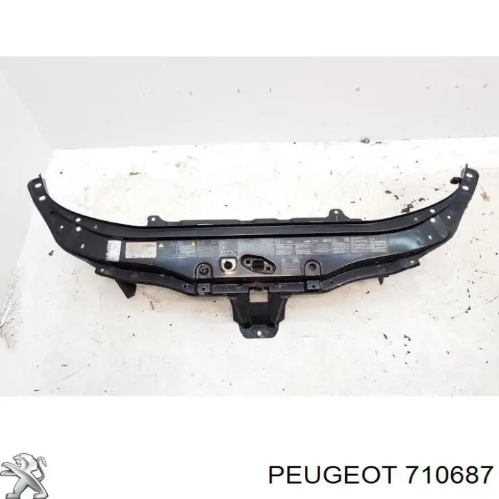 Телевізор верхній Peugeot/Citroen 710687