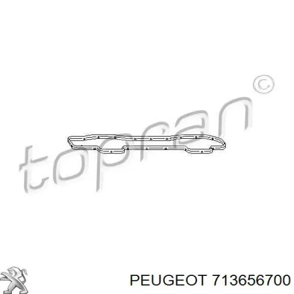 713656700 Peugeot/Citroen прокладка клапанної кришки двигуна