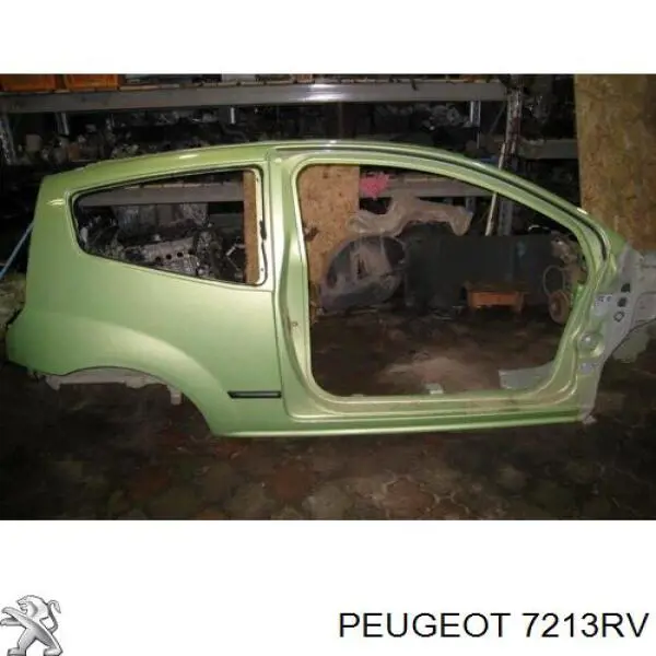  00007213RV Peugeot/Citroen