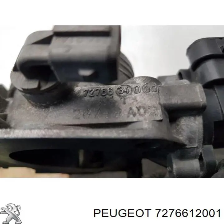  Peugeot/Citroen 7276612001