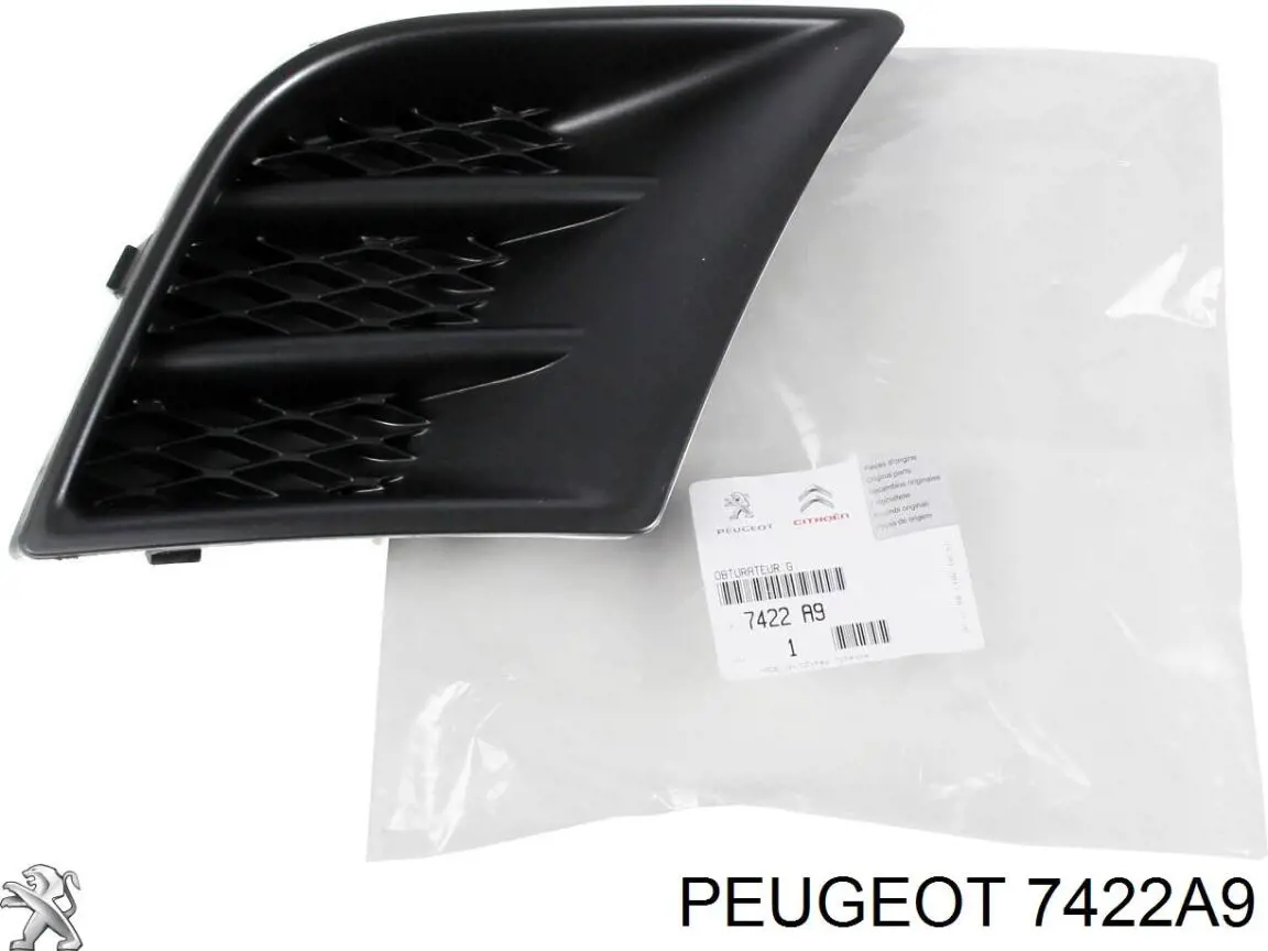 Заглушка, решітка протитуманних фар бампера переднього, ліва Peugeot/Citroen 7422A9 ціна, від 8.69 USD