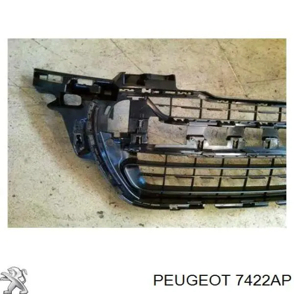 Облицювання радіатора FPS FP5415910 ціна, від 66.69 USD