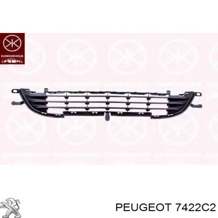 Решітка переднього бампера, центральна PPG99044GAU Signeda