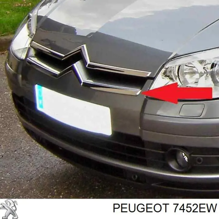 Молдинг переднього бампера Peugeot/Citroen 7452EW ціна, від 30.11 USD