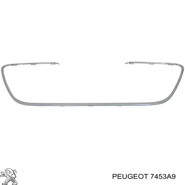 PPG07005MA Signeda Накладка решітки радіатора