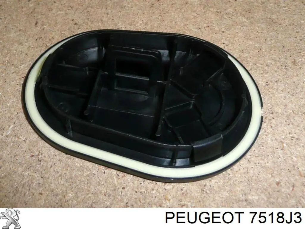 7518J3 Peugeot/Citroen 