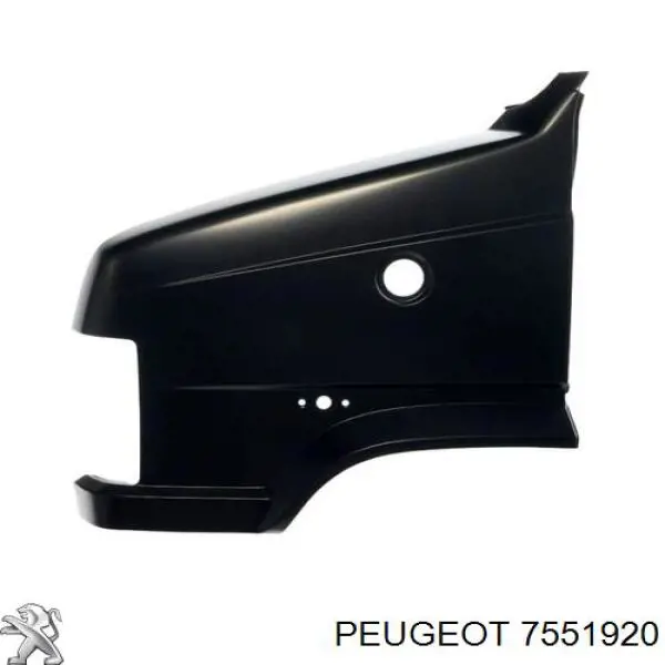 Купити 7551920 Peugeot/Citroen Крила