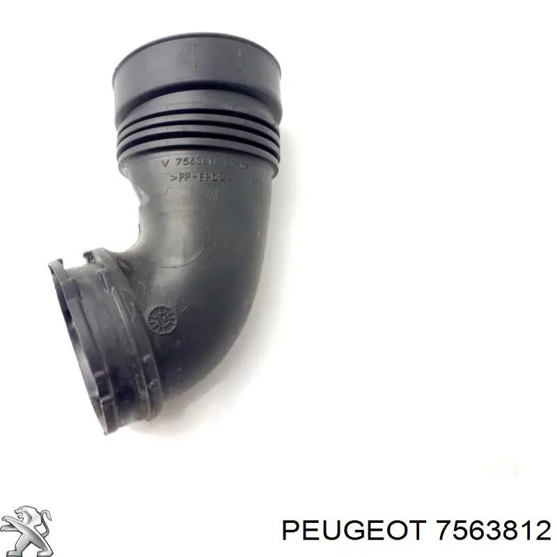  7563812 Peugeot/Citroen