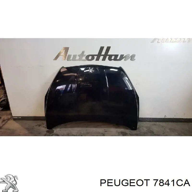 Крило переднє праве Polcar 575602 ціна, від 92.24 USD