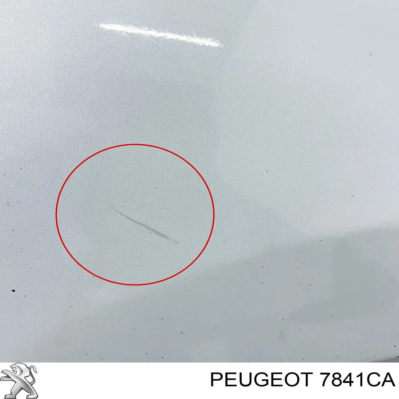 Купити 7841CA Peugeot/Citroen Крила