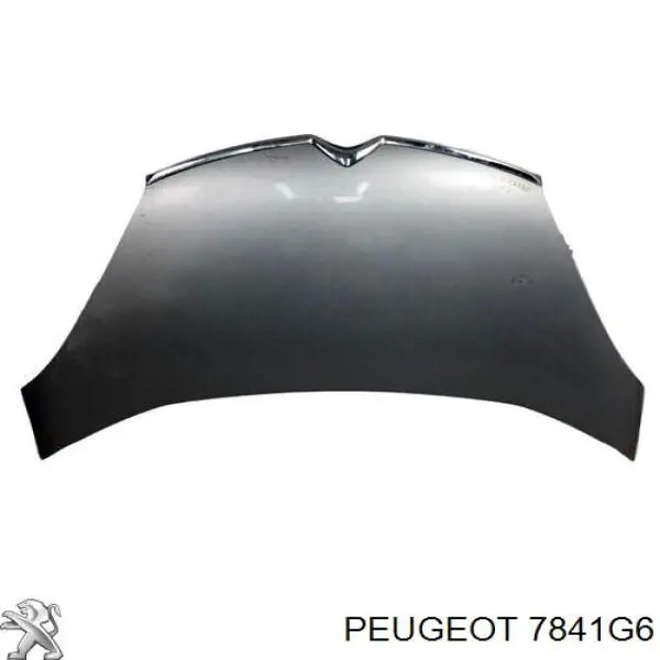 7841G6 Peugeot/Citroen крило переднє праве