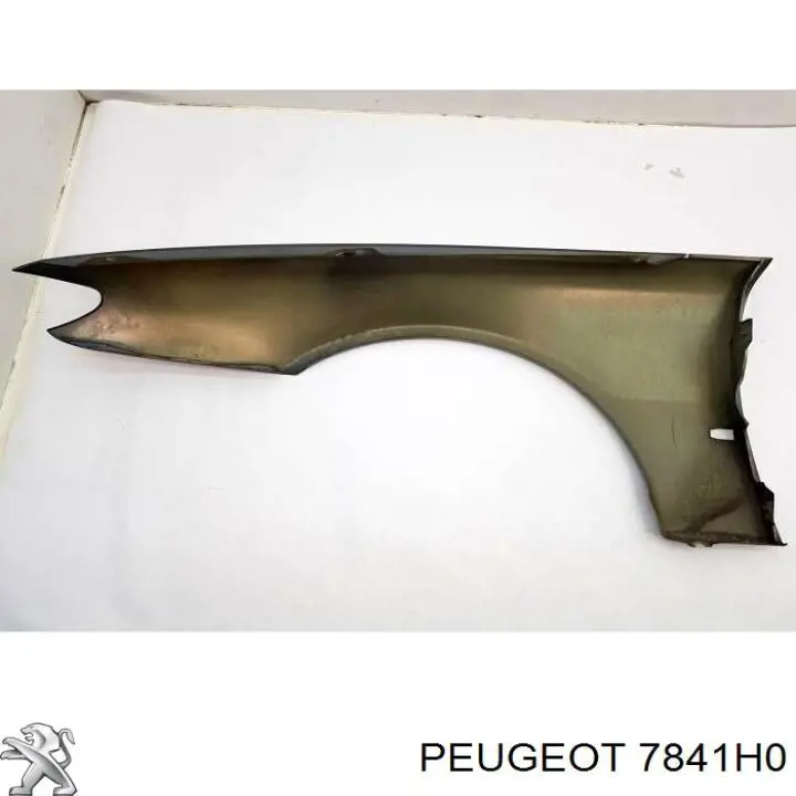 Купити 7841H0 Peugeot/Citroen Крила