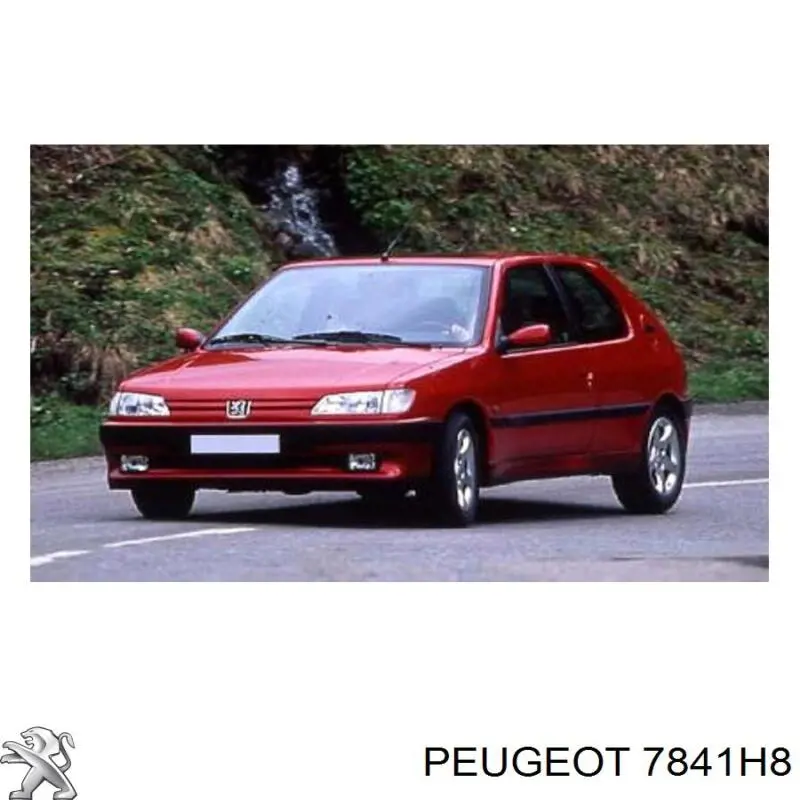 7841H8 Peugeot/Citroen крило переднє праве