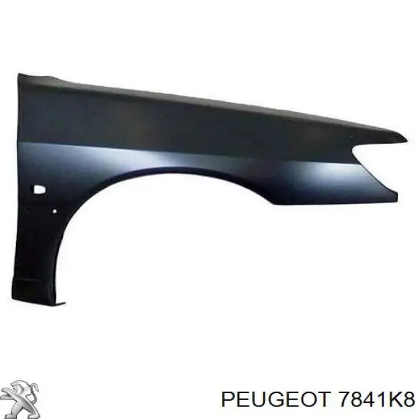 Купити 570802 Polcar Крила