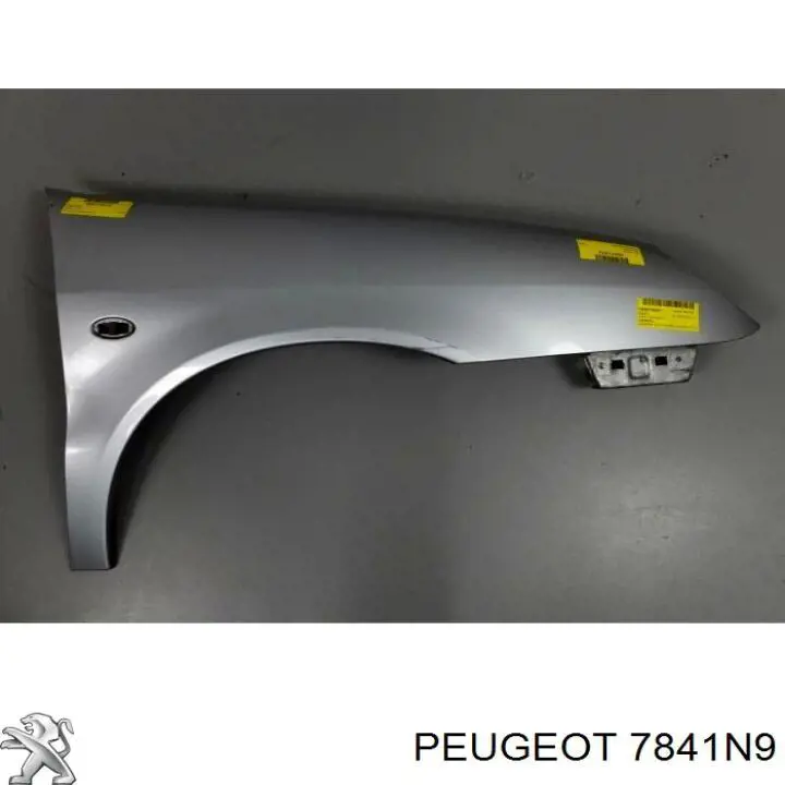 Купити 7841N9 Peugeot/Citroen Крила