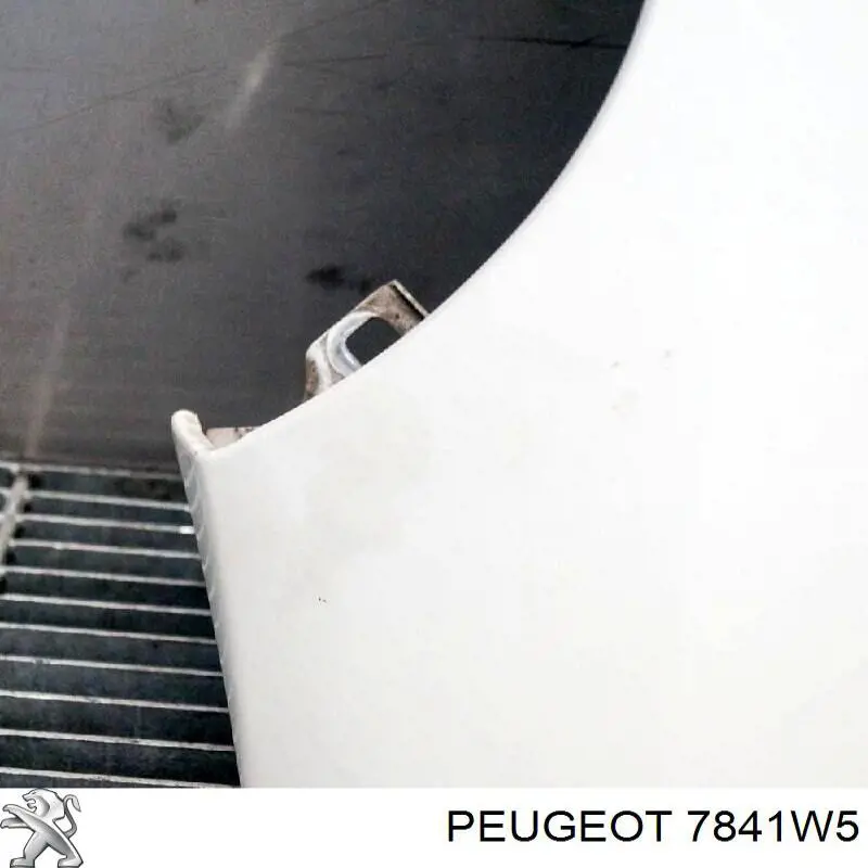 7841W5 Peugeot/Citroen крило переднє праве