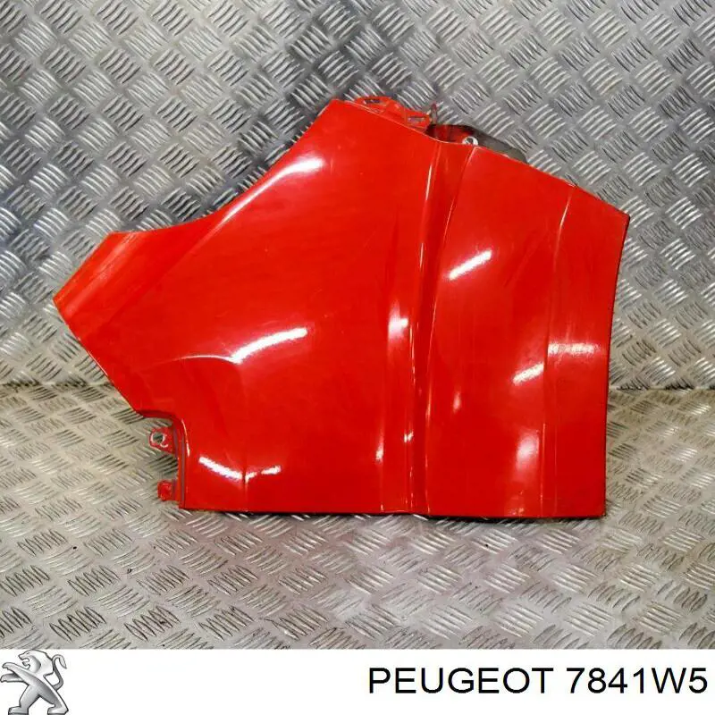 Купити 7841W5 Peugeot/Citroen Крила