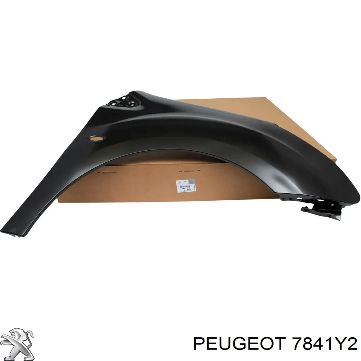 Купити 7841Y2 Peugeot/Citroen Крила
