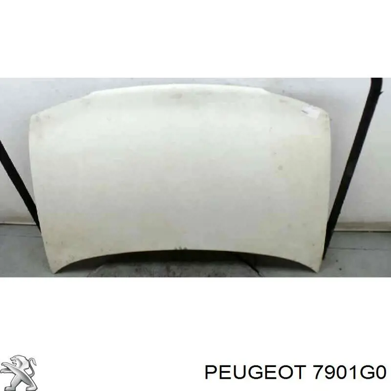 7901G0 Peugeot/Citroen капот