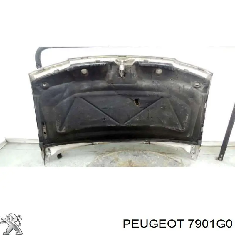 Капот Peugeot/Citroen 7901G0 ціна, від 123.77 USD