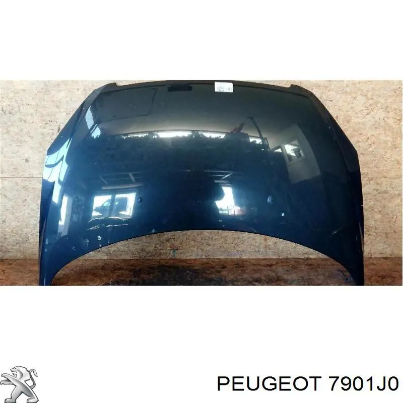 Купити 7901J0 Peugeot/Citroen Капот