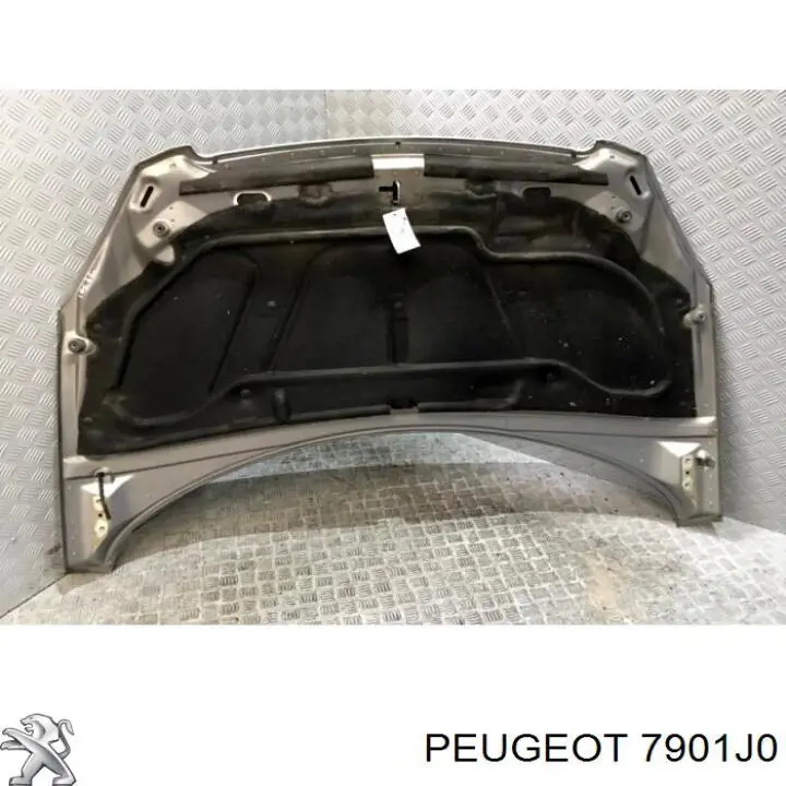 Капот Peugeot 307 хетчбек (3A, 3C) (2000 - 2012) ціна, від 79.83 USD