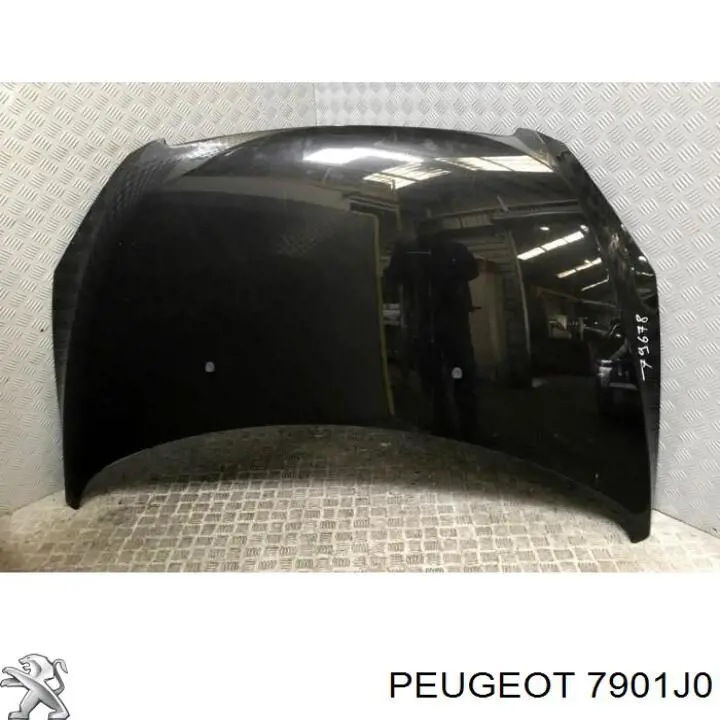 Капот Peugeot/Citroen 7901J0 ціна, від 84.91 USD