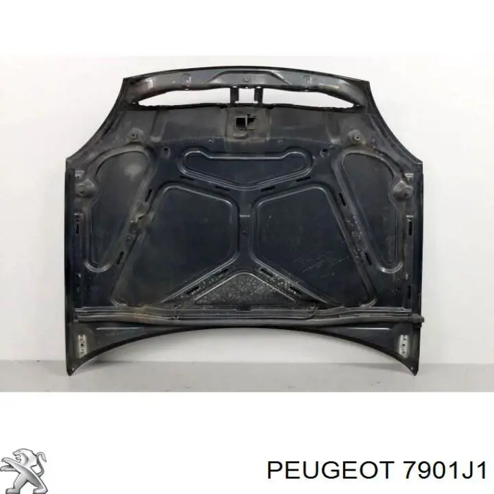 Купити 231503 Polcar Капот