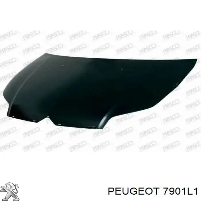 Капот Peugeot/Citroen 7901L1 ціна, від 123.87 USD