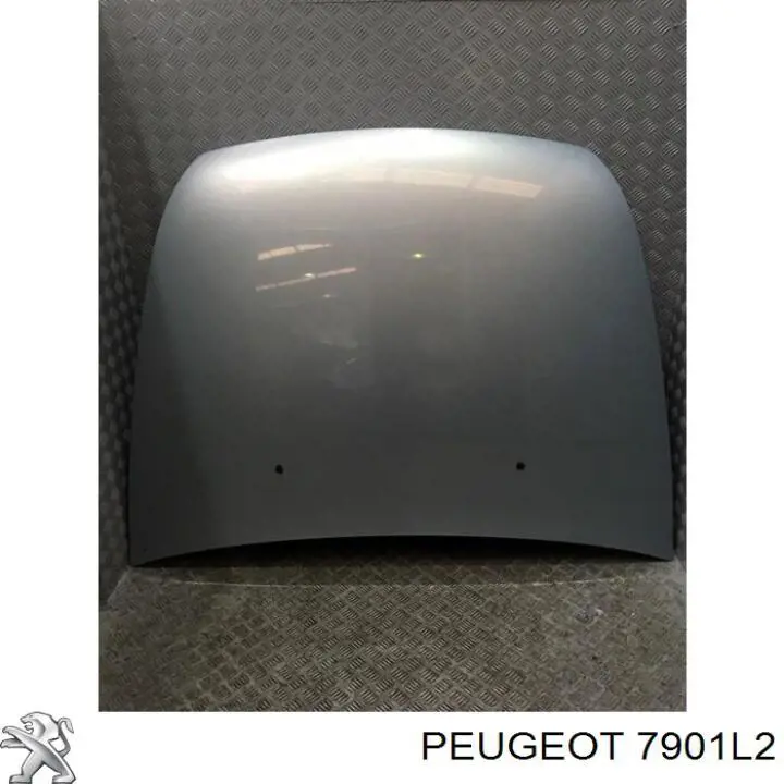 Капот на Peugeot 607 9D, 9U