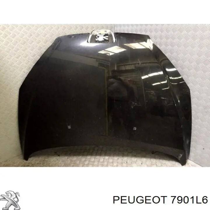 7901L6 Peugeot/Citroen Капот
