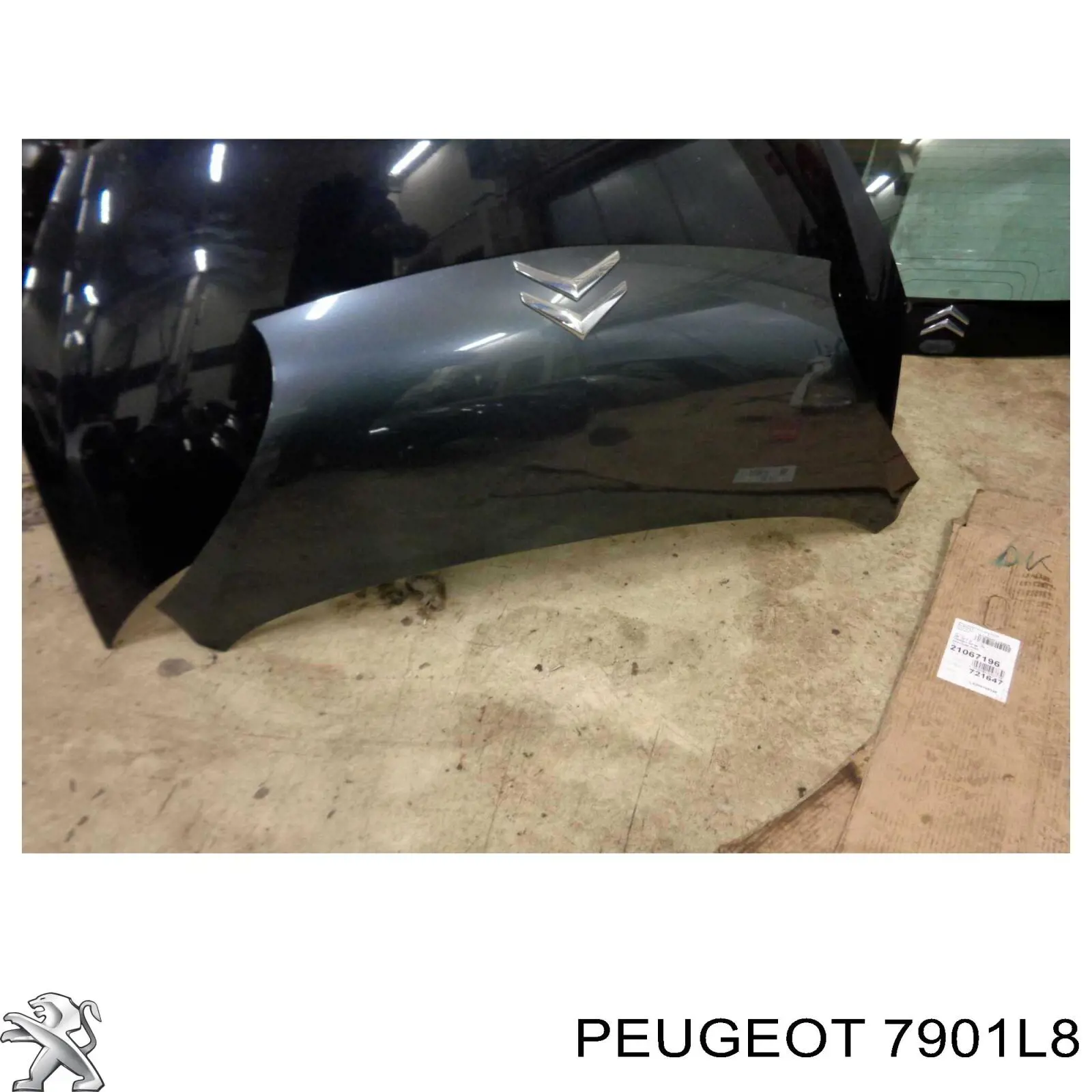 Капот Polcar 230103 ціна, від 70.91 USD