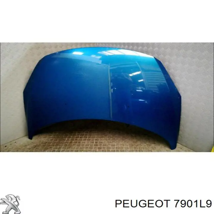 Капот Peugeot/Citroen 7901L9 ціна, від 75.80 USD
