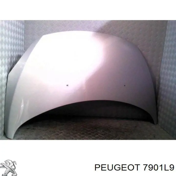 Купити 7901L9 Peugeot/Citroen Капот