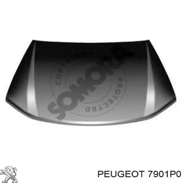 7901P0 Peugeot/Citroen капот