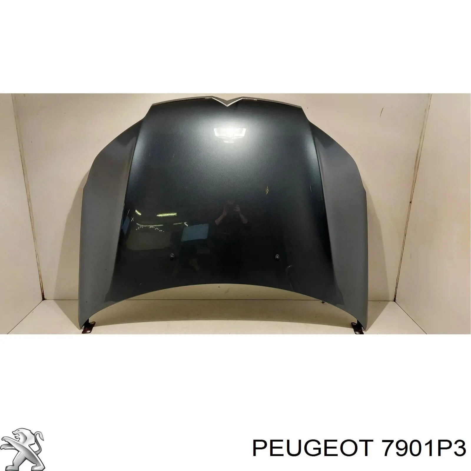 7901P3 Peugeot/Citroen капот