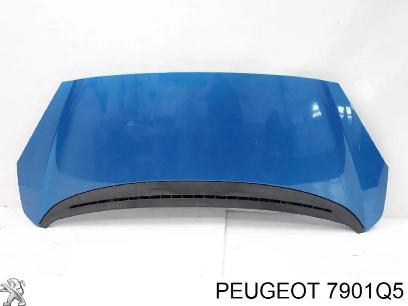 Капот на Peugeot 1007 KM