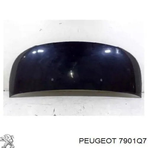 7901Q7 Peugeot/Citroen капот
