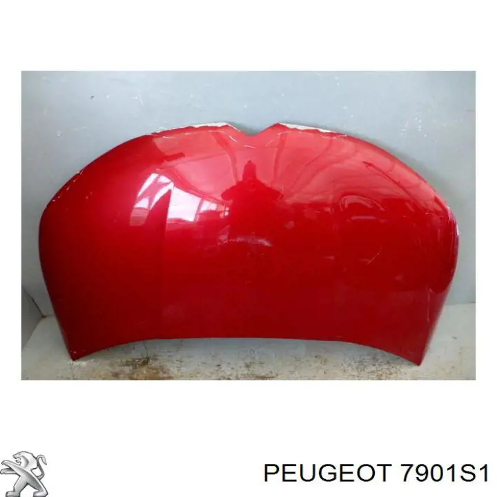 Купити 7901S1 Peugeot/Citroen Капот