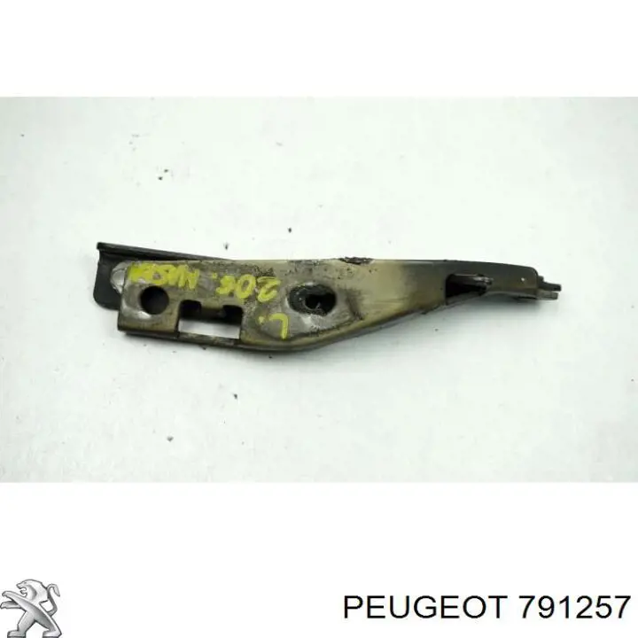 791257 Peugeot/Citroen петля капота, ліва