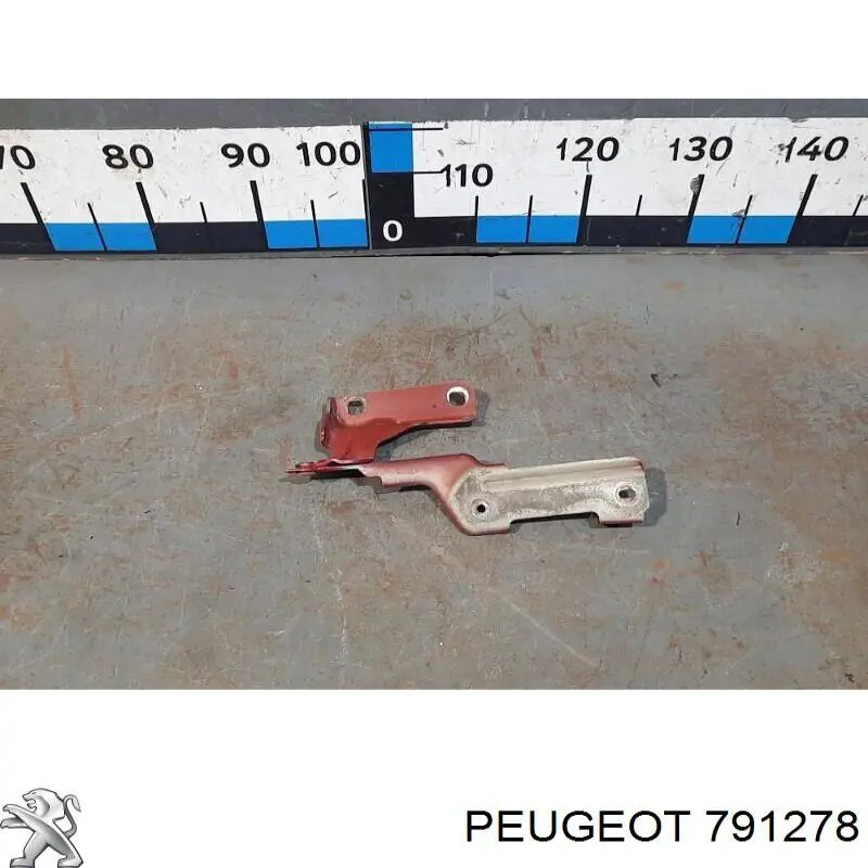 Купити 791278 Peugeot/Citroen Шарнір капота лівий