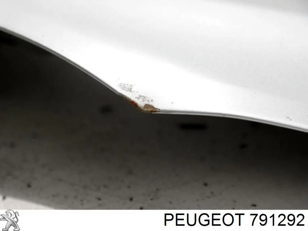 Купити 791292 Peugeot/Citroen Петля капота, ліва
